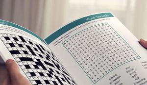 2 Free Puzzle Books 